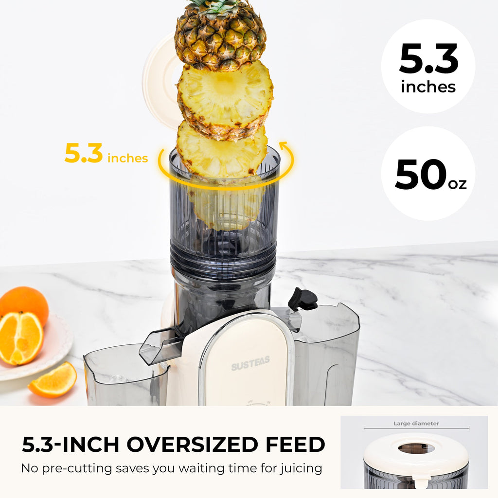 Affordable Juicer for home use, White